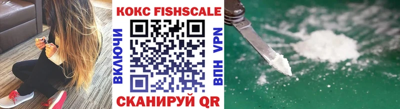 Купить закладки  Верхняя Салда  Cocaine FishScale 