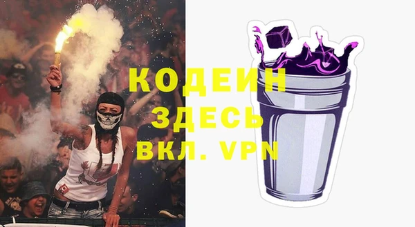 мет Инта