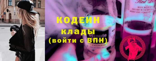 мет Инта