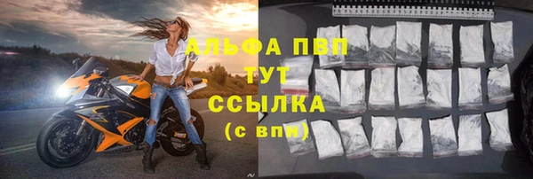 сатива Иннополис
