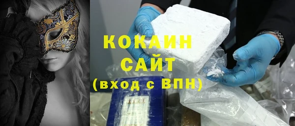 сатива Иннополис