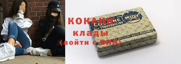 мет Инта