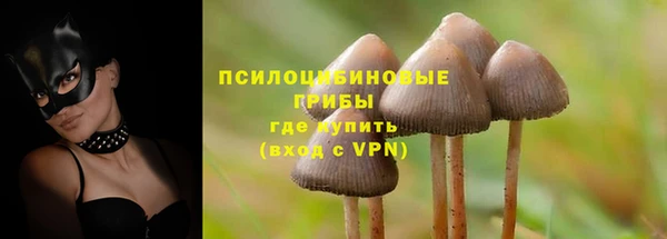 ECSTASY Каменногорск