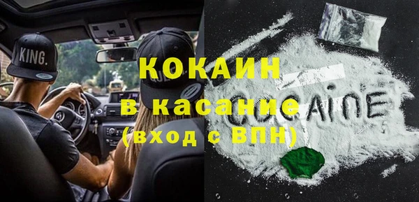 сатива Иннополис