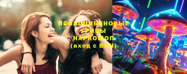 мет Инта