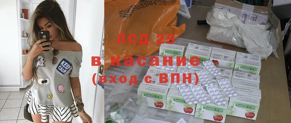 сатива Иннополис