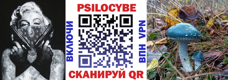 Купить где  Верхняя Салда  Псилоцибиновые грибы Psilocybe 